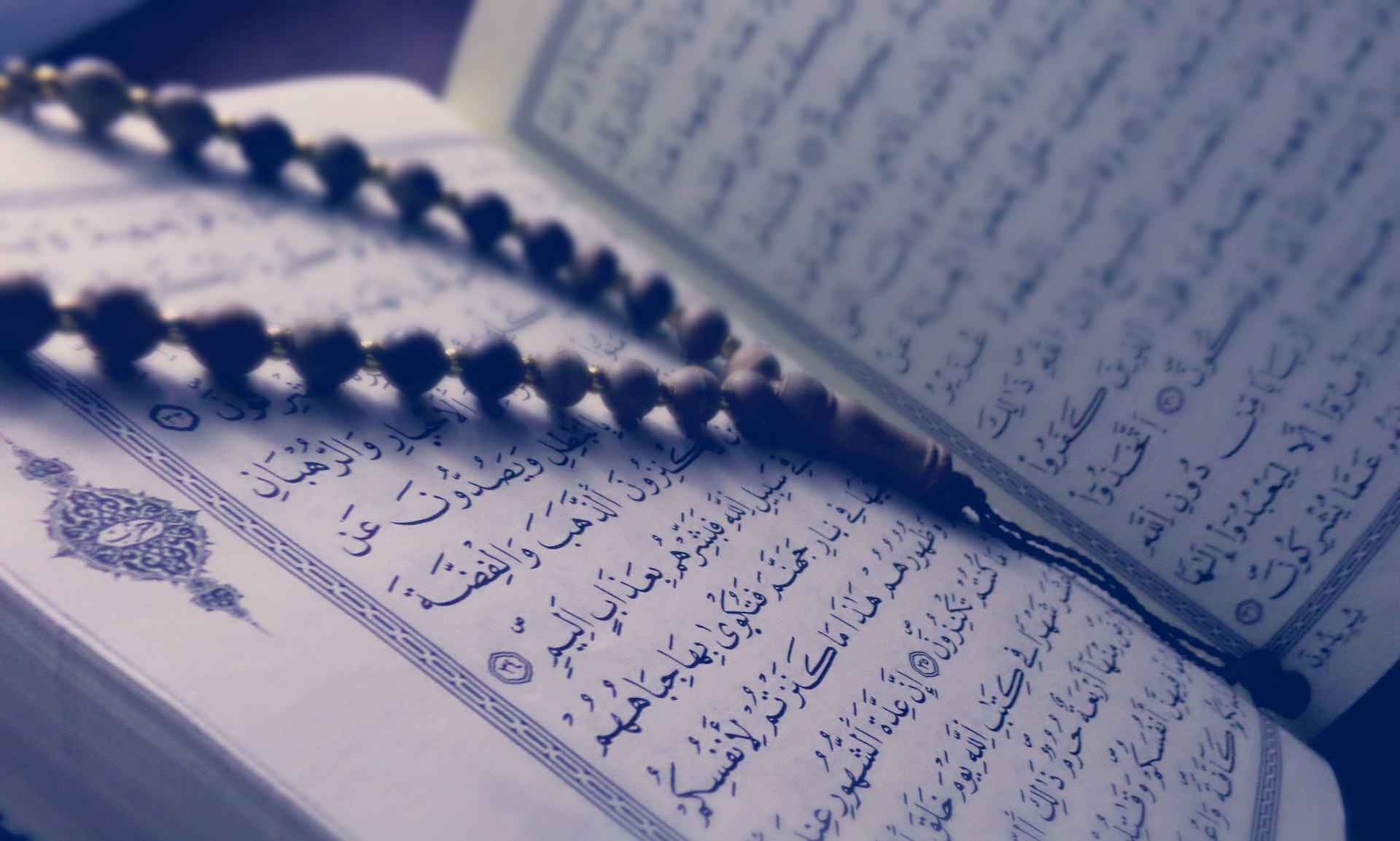 Islam And Fortune Telling - Why It Is Forgiven For Muslims